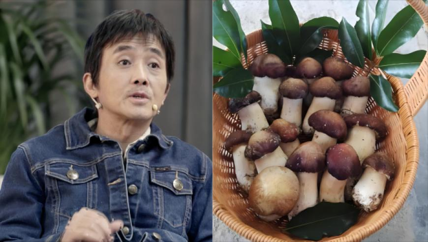 香港澳门6和彩开奘结果,乌克兰,多元化方案执行策略_精简版V12.8