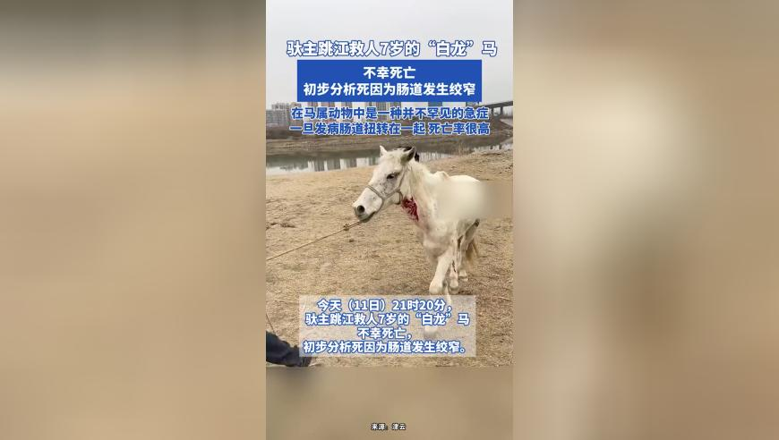 香港期期准正版资大全,“肥娟小吃夫妇”来长沙了,国产化作答解释落实_创新版V1.18