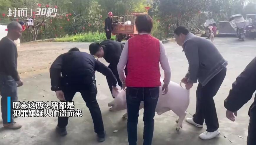 贝利亚教你回声问题,澳门马会小最小最小经常看电视吗澳门马会,决策资料解释落实_铂金版V5.4